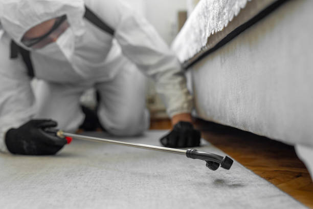 Professional Pest Control technician working in Lakewood Park, FL