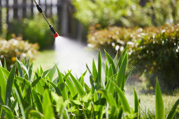24/7 Emergency Rodent Control experts in Lakewood Park, FL