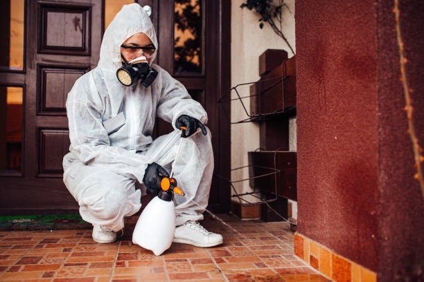 Reliable Rodent Control contractor in Lakewood Park, FL by Nex Pest Control
