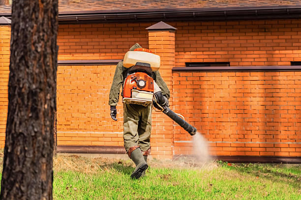 Trusted Mosquito Control service in Lakewood Park, FL - Nex Pest Control